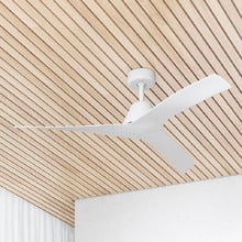 Claro Dreamer 132cm DC Ceiling Fan